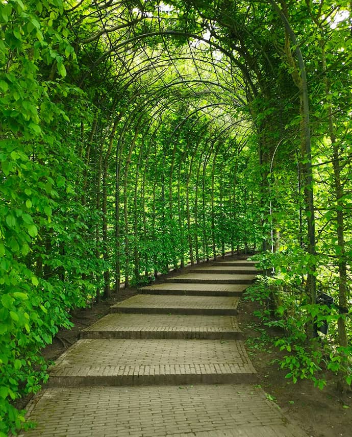 Clean Landscape Pathway