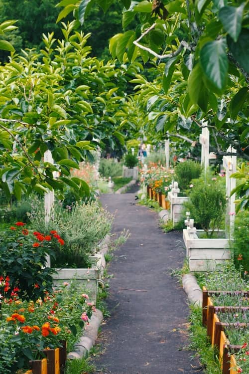 path