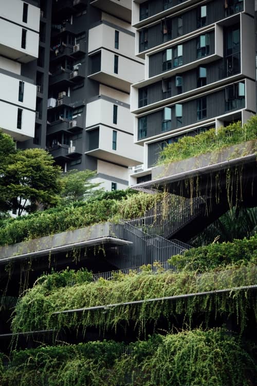 urban building surrounded by plants